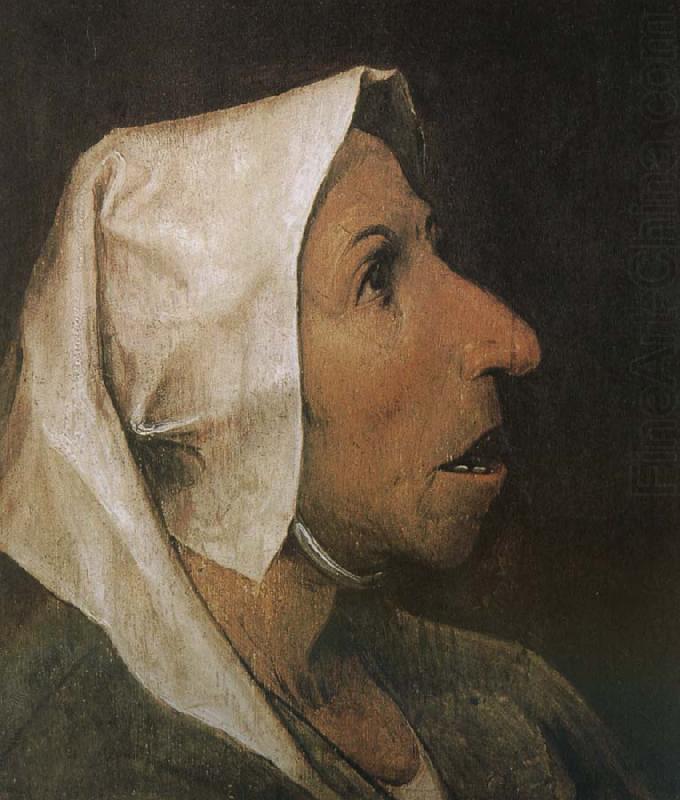Pieter Bruegel Portrait of woman china oil painting image